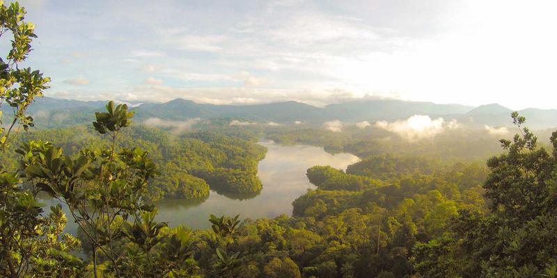 中国制造新标杆：宁波华宇自动化输送设备如何为汽车零部件生产线注入空气净化与环保动能