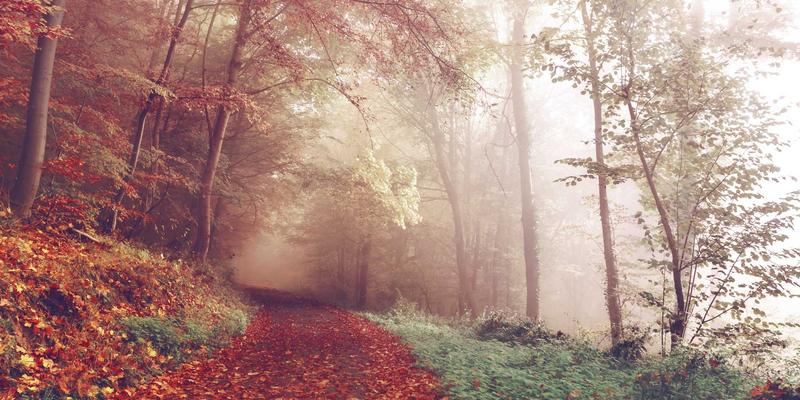 如何选择宁波华宇生产的工业自动化设备？污水处理设备选购全攻略