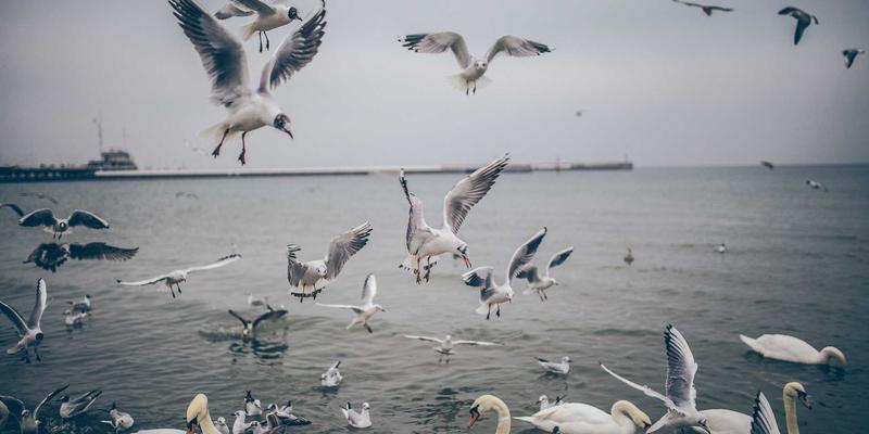 宁波华宇设备33:深耕工业机械领域,以空气净化与污水处理设备助力绿色智造