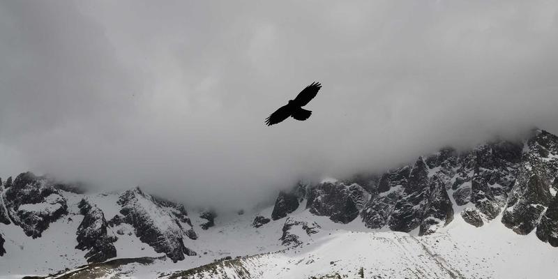 宁波华宇设备36:以专业工业机械赋能空气净化与污水处理