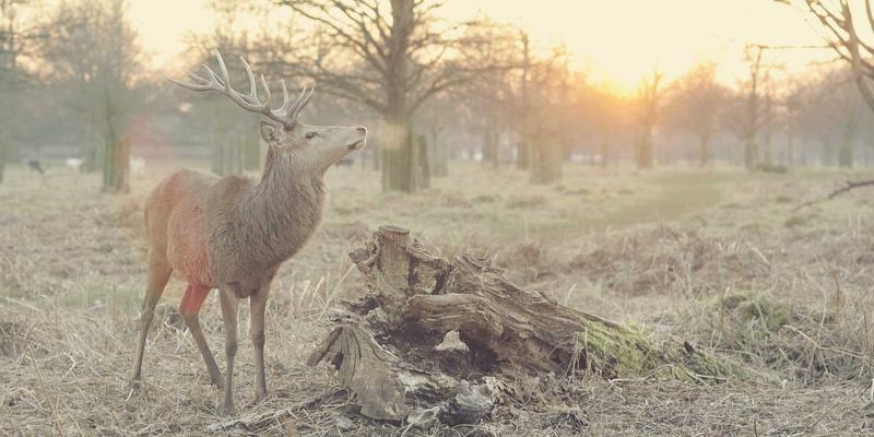 宁波华宇设备91：以中国制造之魂，铸就环保输送设备新标杆