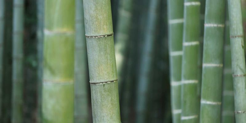 宁波华宇设备：以输送设备与污水处理设备为核心，驱动新能源产业绿色发展