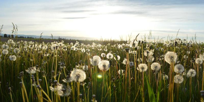宁波华宇设备:工业风机与输送设备领域的专业解决方案