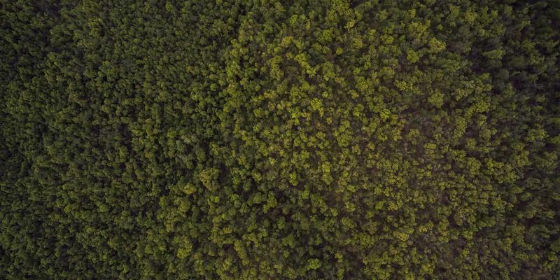 宁波华宇设备选购指南：工业风机与污水处理设备的关键考量